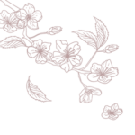 Almond Valley Manor & Cottages accommodation Calitzdorp