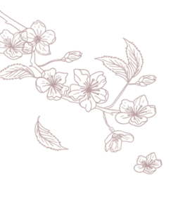 Almond Valley Manor & Cottages accommodation Calitzdorp