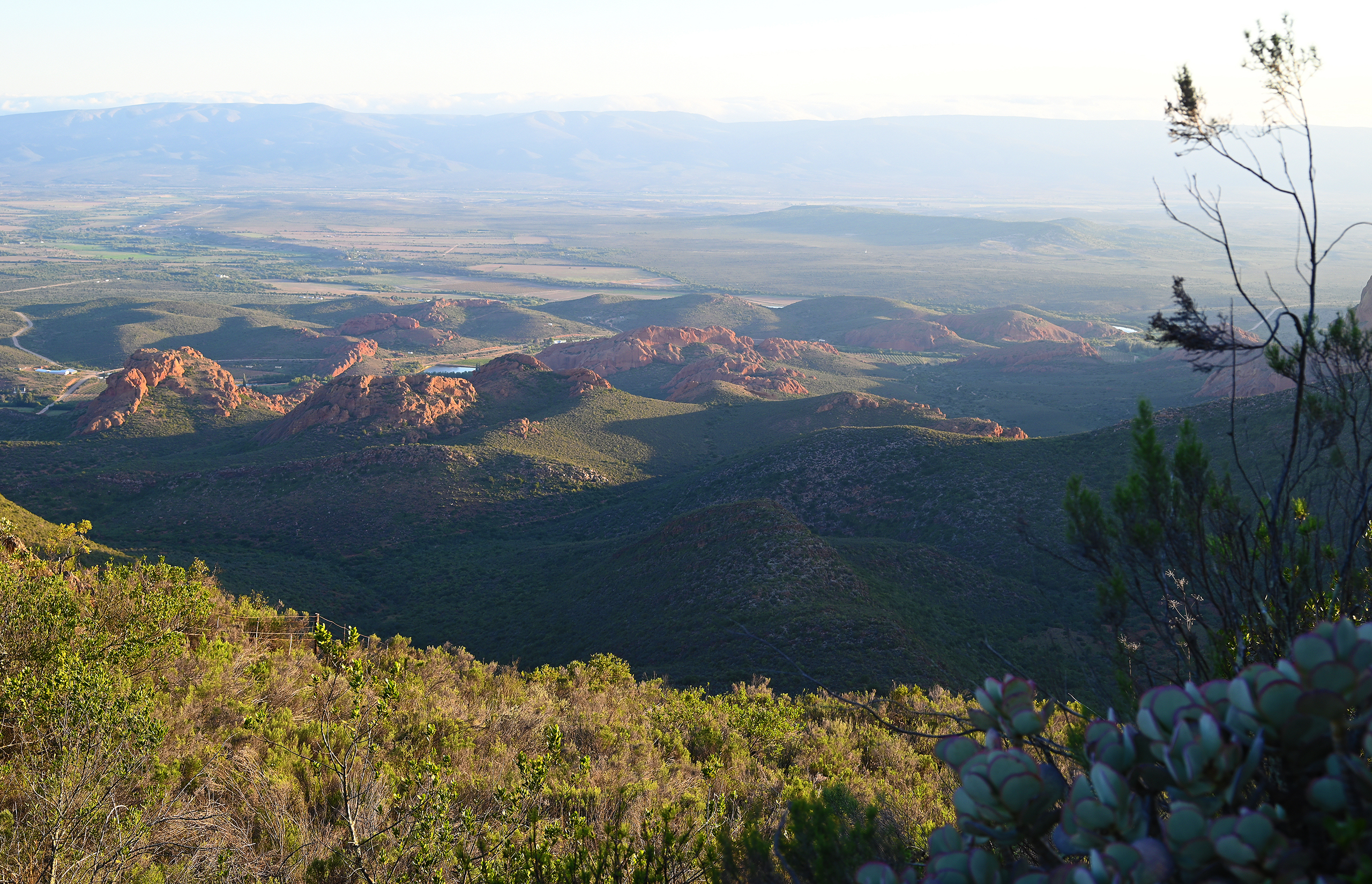 Almond Valley Manor & Cottages, accommodation, Calitzdorp